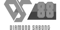 Play'n GO logo